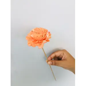 Vanchai Ombre Peach Sola Flower (5pcs)