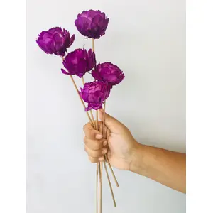 Vanchai Ombre Mauve Sola Flower (5pcs)
