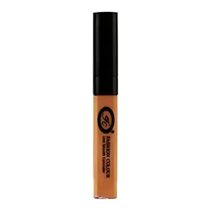 Fashion Colour Coverup Liquid Concealer - Line Smooth Skin Flawless Natural Finish and Long Lasting 11g (Shade 02)