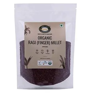 Millet Amma Unpolished Organic Ragi (Finger Millet) Grains | 2 Kg (1kg x 2 Packs) | (KelvaraguNachniRagulu) | Suitable for Multiple Millet Recipes ( Ragi Ladoo Roti  Dosa Idly ) | Rich in Calcium