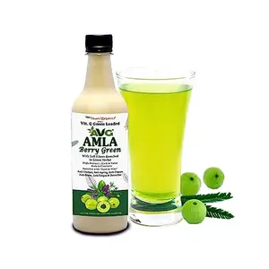 AVG Health Organics Amla Juice with Fibre with Basil & Mint Rich in Vitamin C - No ed Sugar -500 ML