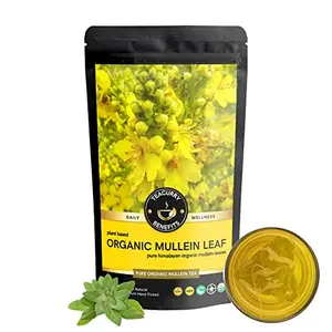 TEACURRY Organic Mullein Tea (25 Cups 50 Grams) - Helps in Lung and skin problems | Organic Mullein Leaf Tea Mullein Tea All Natural