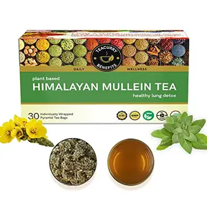 TEACURRY Mullein Tea for Lungs (30 Tea Bags | 1 Month Pack) - Helps in Lung and  Health | Mullein Tea Lung 