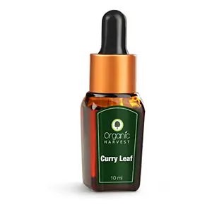 Organic Harvest Curry Leaf Essential Oil Protects Against Sun Damage Removes Acne & Wrinkles Face Hair Care Pure & Undiluted Therapeutic Grade Oil Excellent for Aromatherapy100% Organic Paraben & Sulphate Free 10 ml