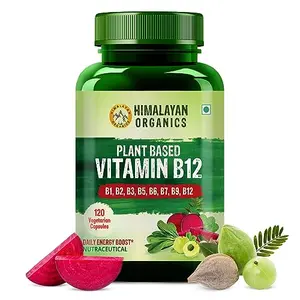 HIMALAYAN Organics Plant Based Vitamin B-12 | Natural Moringa Alfalfa | Energy Level | Good For  &  Function (120 Caps.)
