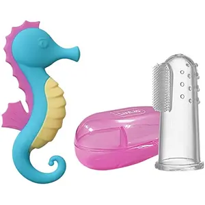 LuvLap Sea Horse Baby Teether Teething Toy for Infants and Babies Multicolor & Baby Silicone Finger Toothbrush with case for Easy Cleaning Massaging and Soothing Gums Oral Hygiene