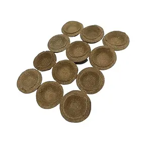 Festive Vibes Cow Dung diyas Cow Dung (31 Piece)