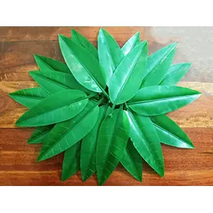 Festive Vibes Plastic Re-usable Artificial Mango Leaves (Aam Patta) for Decorations Crafts Garlands Making (Height Approx.17 cm)- No. of Pieces -50