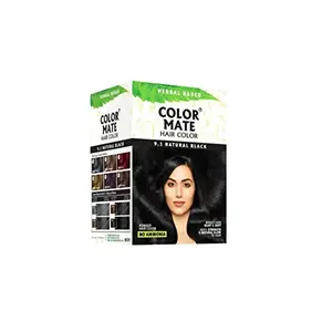 Color Mate Herbal Based Ammonia Free Hair Color with Ayur Product in Combo (9.1-Natural Black)