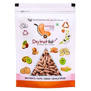 Dry Fruit Hub e Nuts With Shell 100gmschilgoza nuts Chilgoza Dry Fruits e Nuts Dry Fruits
