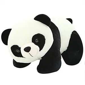 Toy Joy SOFT TOYS Soft/Cuddle Small Black and White Panda Teddy Bear 26 cm Lovely Teddy Figure Toy