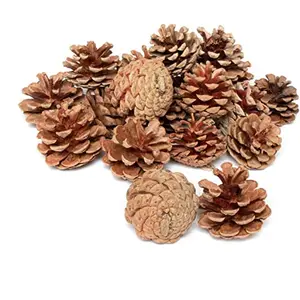 Christmas Vibes 12 Pcs Christmas Decoration Wooden Pine Cones Hanging Ornaments Bauble Xmas New Year Festival Party Decoration (Pack of 12)