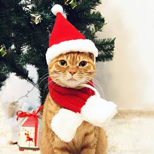 Christmas Vibes Christmas Costume for Cat Red Christmas Hat & Scarf for Cat Christmas Dressing Accessory for Cat Puppy L