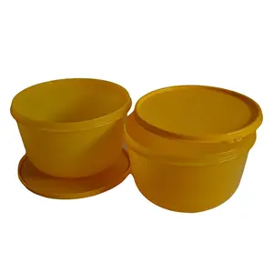 Tupperware Plastic SS Bowl 2 litres Set of 2 pc