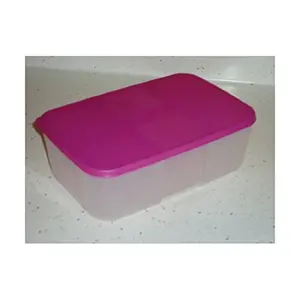 Tupperware Freezer Mate #2 Medium Container with Raspberry Seal