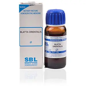 SBL Homeopathy Blatta Orientalis Mother Tincture Q (30 ML) by Qualityexport