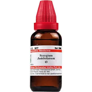 Exportmall Willmar Schwabe Homeopathy Syzygium Jambolanum Mother Tincture Q (30 Ml) By