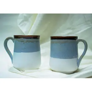 Blue White Ceramic Coffee Mug Set of 2
