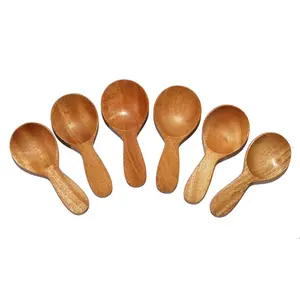 SAHARANPUR HANDICRAFTS Small Neem Wooden Spice Spoon | Natural Wooden Spoons | Eco Friendly Gift | Kitchen Utensils | Artisans Made (8.cm - Set of 6)