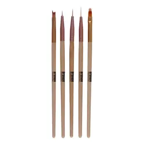 nail art ombre brush and gel liner brush set (pack of 5)