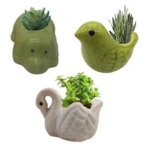 KHURJA POTTERY Ceramic Flower Pot Planter Plant Pot Indoor Planter Handicraft by Awarded Indian Artisan