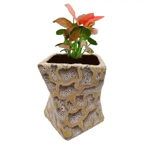 KHURJA POTTERY Ceramic Flower Pot Planter Pot Indoor Outdoor Planter Handicraft by Awarded Indian Artisan