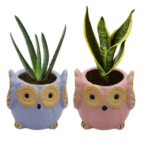 KHURJA POTTERY Owl Shape Ceramic Flower Pot Planter Pot Indoor Outdoor Planter Handicraft by Awarded Indian Artisan