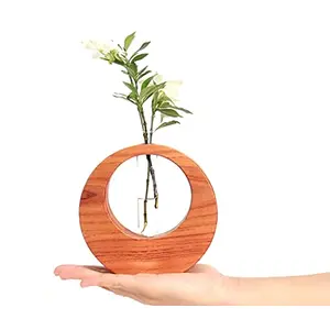 KHURJA POTTERY Wooden Planter | Wooden vase with Glass Tube | Test Tube Planter Modern Flower Bud Vase with Wood Stand | Tabletop Glass Terrarium for Propagating Hydroponics Plants - 7 inch RD