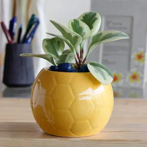 KHURJA POTTERY Football Planter Pot Flower Indoor Outdoor Home Office Balcony Decor Garden Ceramic (Color : Yellow Diameter : 16 CM Height : 12.5 CM) Weight :: 1445 GM