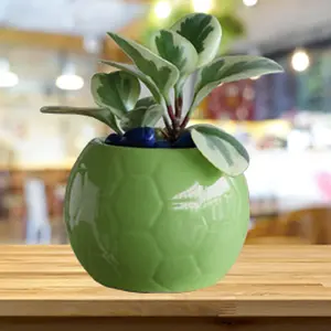 KHURJA POTTERY Football Planter Pot Flower Indoor Outdoor Home Office Balcony Decor Garden Ceramic (Color : Green Diameter : 16 CM Height : 12.5 CM) Weight :: 1445 GM