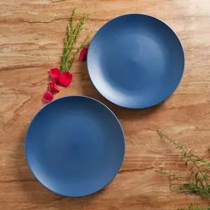 KHURJA POTTERY 'Pastel Blue' Ceramic Plates for Dinner Stoneware Dinner Plates Microwave and Dishwasher Safe Plates (Set of 2 10.2 Inches)