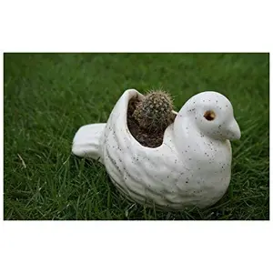 KHURJA POTTERY White Ceramic Mini Planter in Shape of Small Bird Set of 2 Pot can be Used for Decor as a Table top for Garden or Balcony