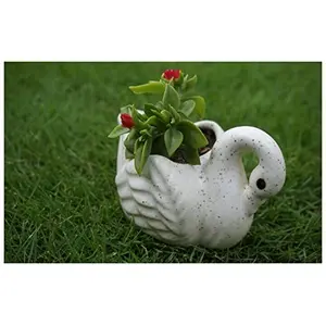 KHURJA POTTERY White Ceramic Mini Planter in Shape of Small Swan (Set of 2)