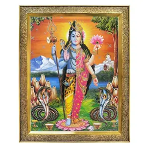 Koshtak Shiva parvati/Ardhanarishvara/Adishakti/shiv parivar Photo Frame with Unbreakable Glass for Wall Hanging/Gift/Temple/puja Room/Home Decor and Worship
