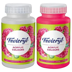 Pidilite Fevicryl Acrylic Painting Color (Pink 500ml) & Pidilite Fevicryl Acrylic Colour White Acrylic Paint 500 ml