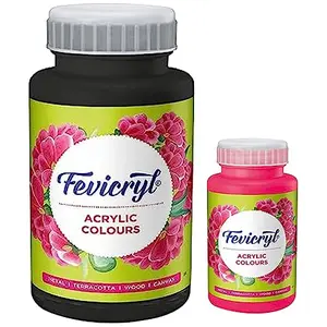 Pidilite Fevicryl Acrylic Painting Color (Pink 500ml) & Fevicryl Pidilite Acrylic Colour Black Acrylic Paint 500 ml