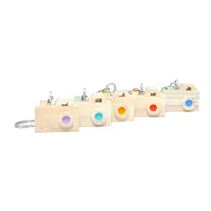 IVEI Wooden Camera Keychain - Camera Shaped Key Ring for Home Vehicles & Office - Multi-Colour Key Chains - Handmade Keychains - Excellent Gift for Homes Birthdays etc (Set of 5) Multicolour