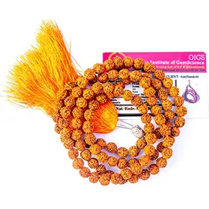 Rudraksha Mala (7 mm Chest Length Long Tail) - Natural Rudraksha Beads - Pack of 1