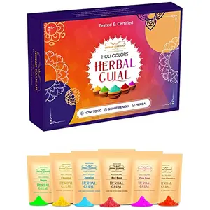 Indian Karigar Starch Holi Gulal for Holi Colour 480g 6 Flavor Ã 80g Herbal Gulal Organic Holi Colours for Family Non Toxic Holi Color Organic Skin Safe Holi Colors Holi Gifts Pack of 6 Multicolor