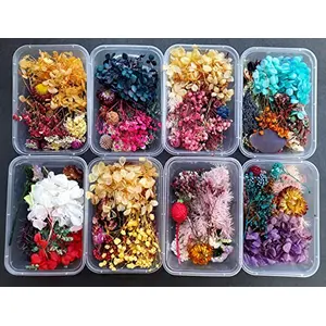 Dried Flowers for Resin Art - Natural Dry Flowers for Decoration Candle Making Soap Making Nail Art & DIY (Pack of 1 Assorted)