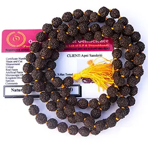 Black Rudraksha Mala (7 mm Full Length 108+1 Beads ) - Natural Black Rudraksha Beads - Pack of 1
