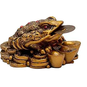 Vastu Money Frog with Coin Showpiece - Brass (4 cm x 6 cm x 8 cm)