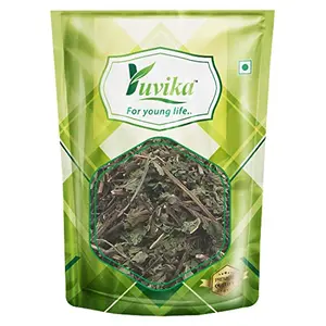 Podina Patta - Pudina - Mentha Arvensis Linn - Mint Leaves (100 Grams)