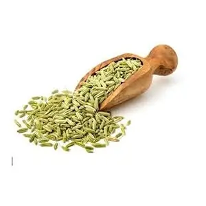 Fine Herbs Fennel (moti saunf) (Pack of 3) (100g x 3)