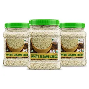 Bliss of Earth USDA Organic Sesame Seeds 3x600 gm White For Eating Raw Til Seeds