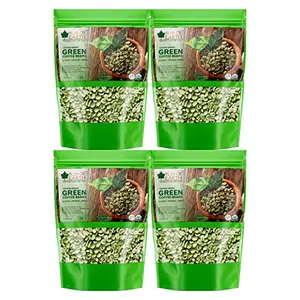 Bliss of Earth Organic Arabica Green Coffee Beans 4x250GM