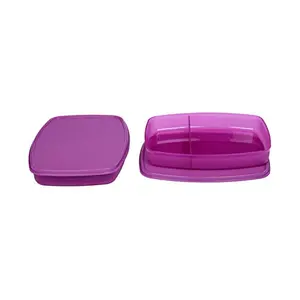Signoraware Slim Lunch Box Set 610ml Set of 2 Purple