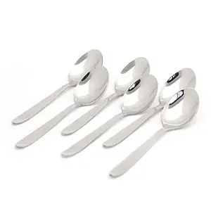 Coconut Stainless Steel Master Spoon Set of 12