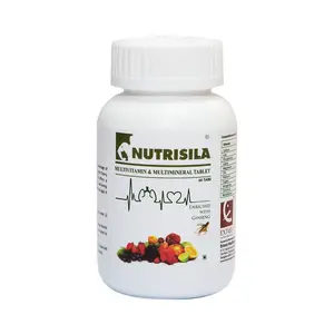 Extasy Nutrisila Multivitamin & Multimineral Tablet