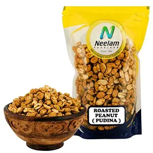 Roasted Peanut (Pudina) 400 gm (14.10 OZ)